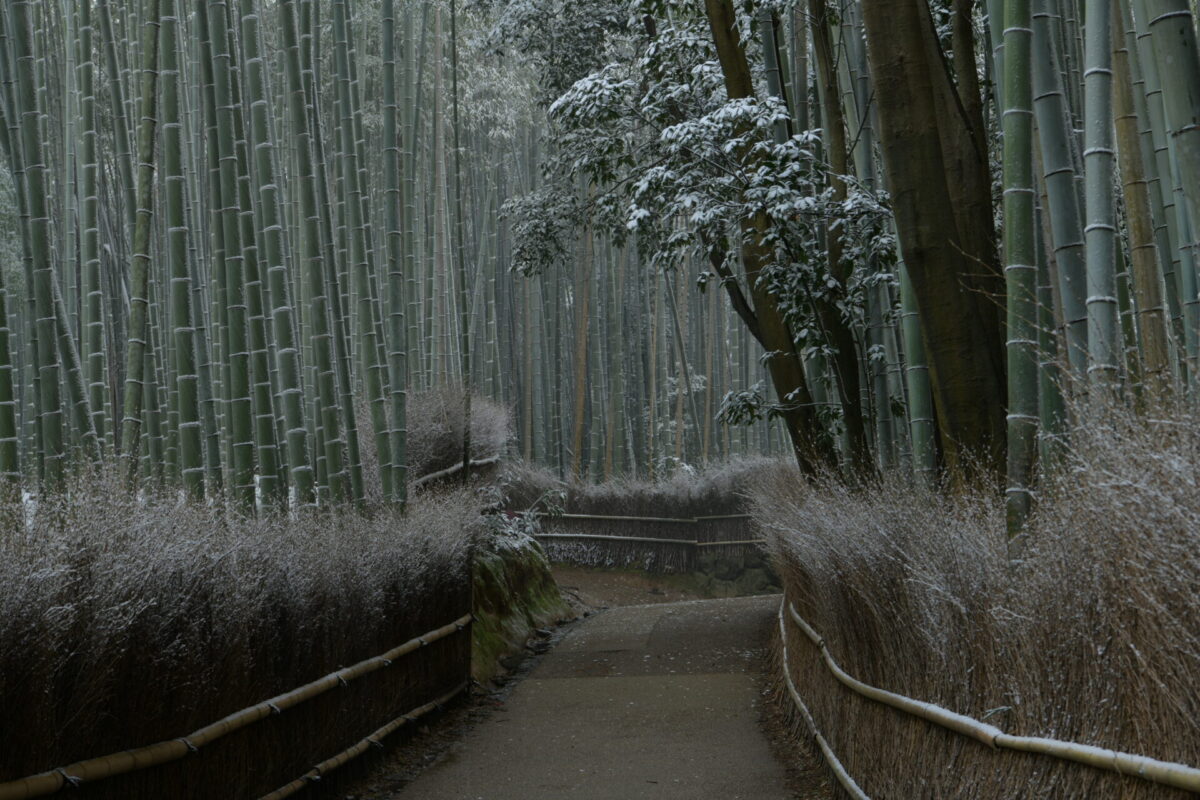 Arashiyama snow