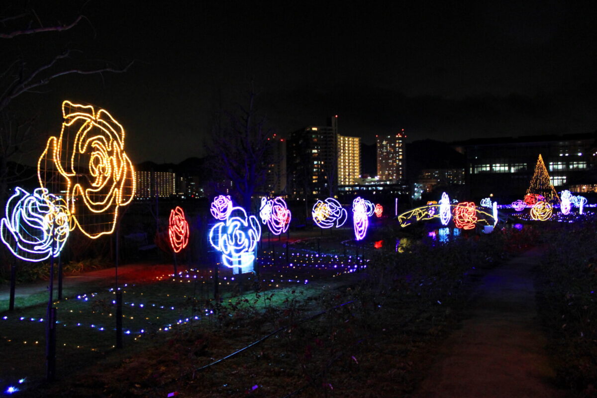 English garden illuminations Shiga