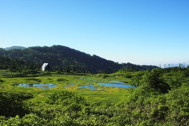 niigata tourist spot winter