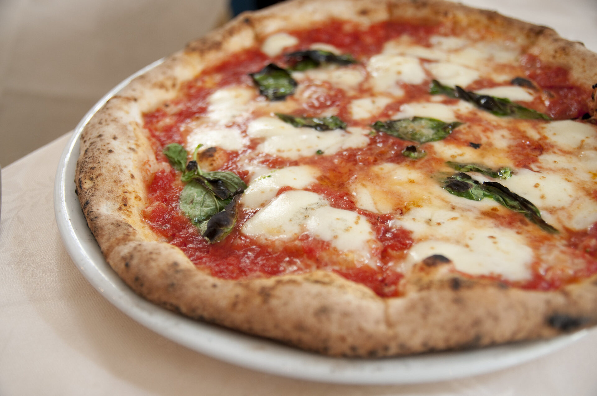 Best Pizza in Tokyo: 10 Must Try Spots | Japan Wonder Travel Blog