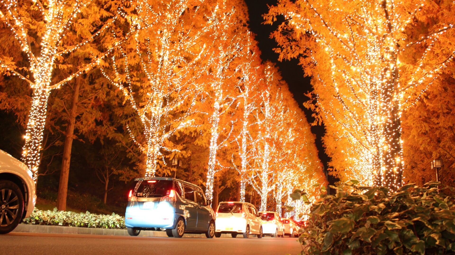 12 Best Winter Illuminations in Kansai 20222023 Japan Wonder Travel Blog