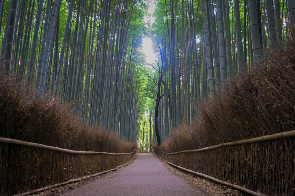 Arashiyama