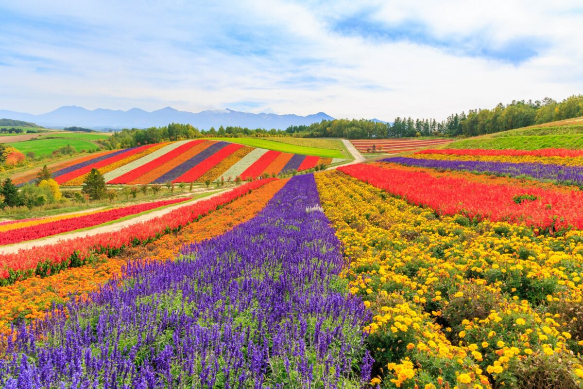 travel to hokkaido in november