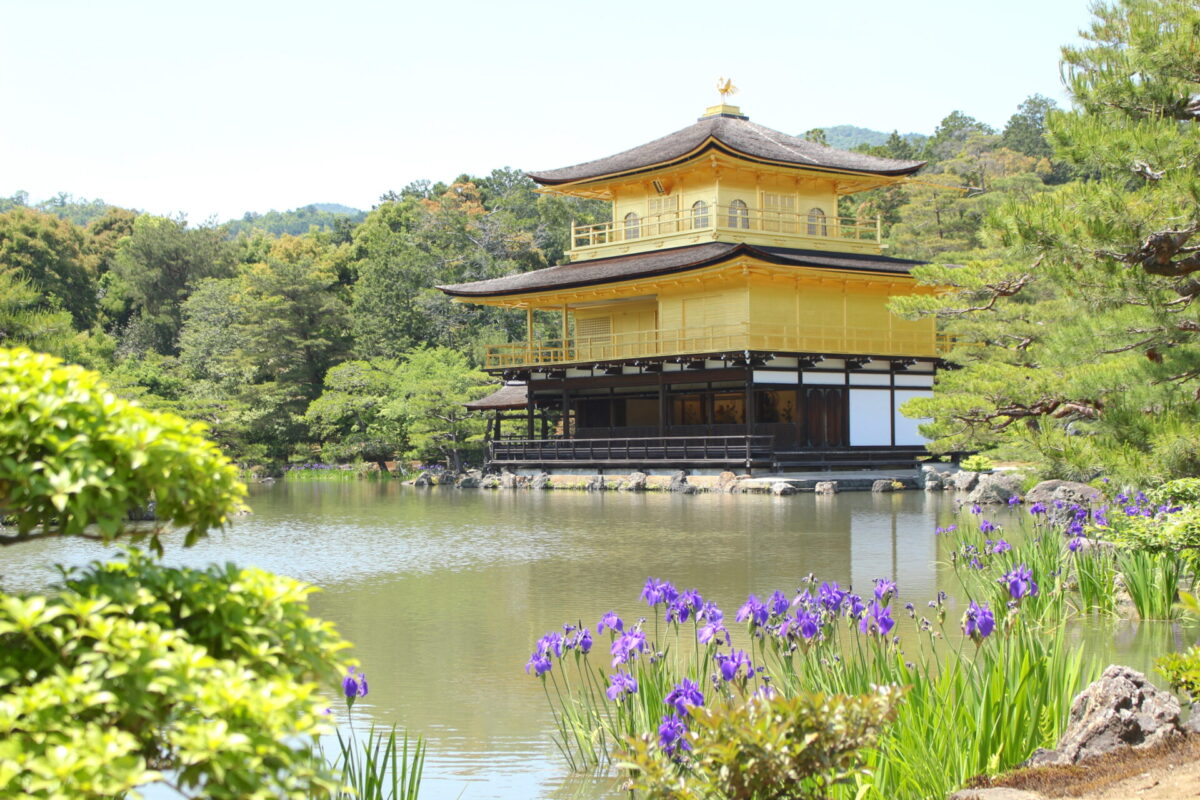 Kinkakuji iris