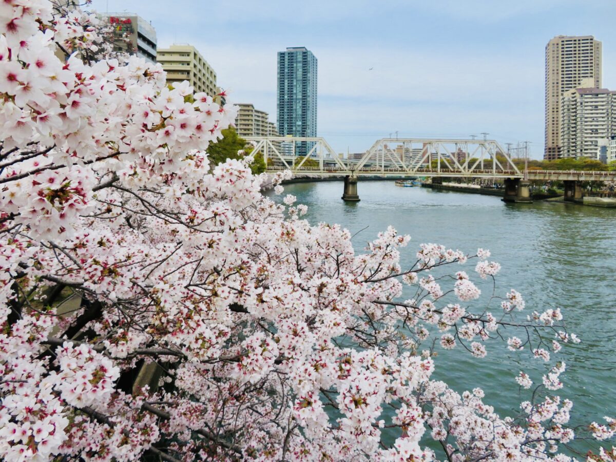 Kema Sakuranomiya Park