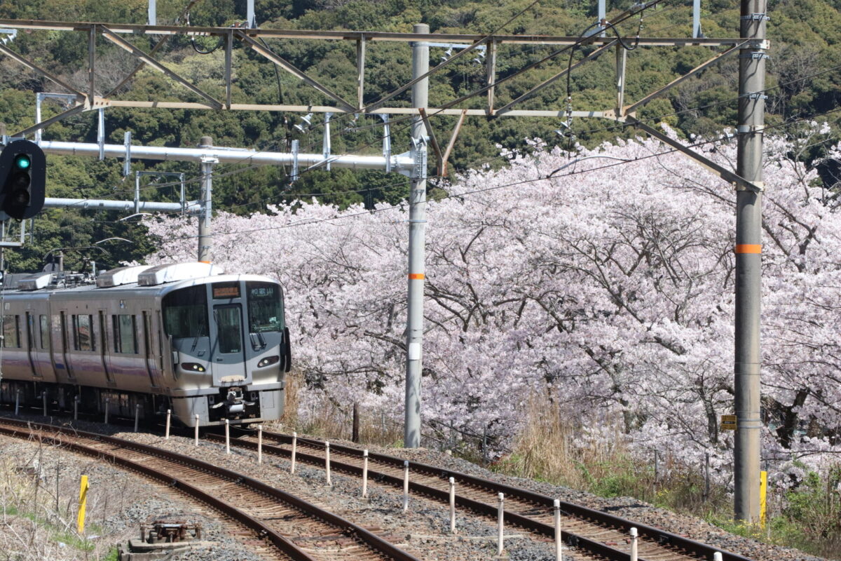 Yamanakadani Valley