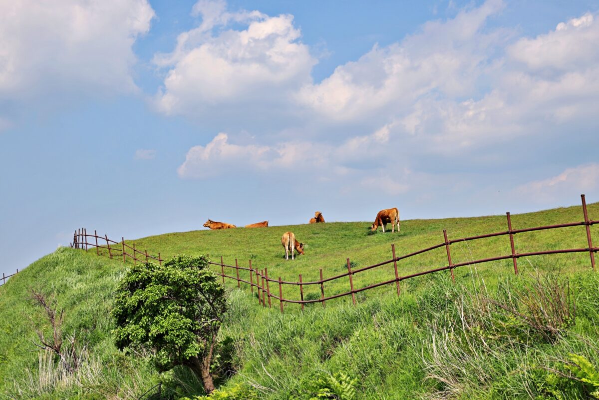 agri eco tourism park