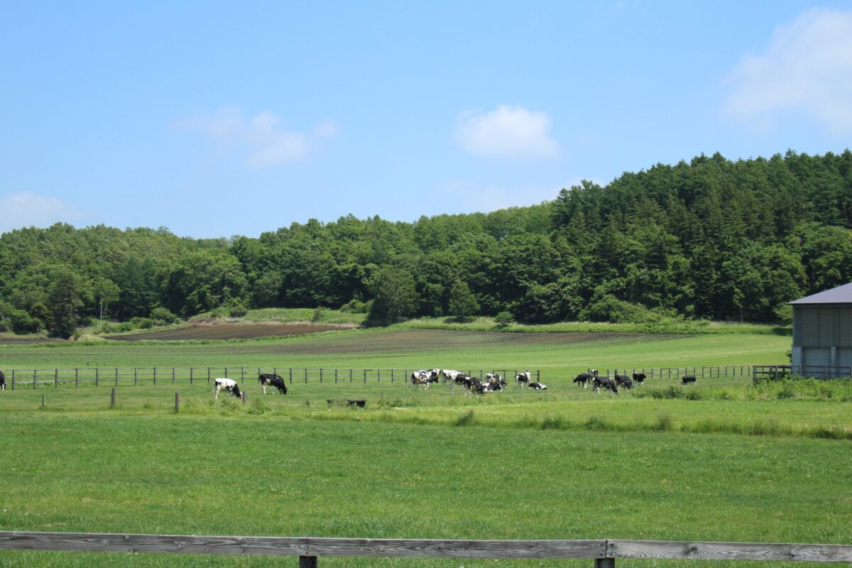 agri eco tourism park