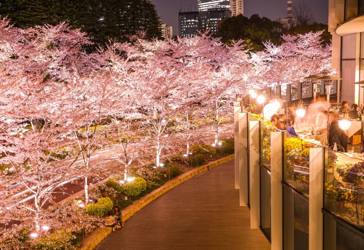 Midtown Blossom Tokyo