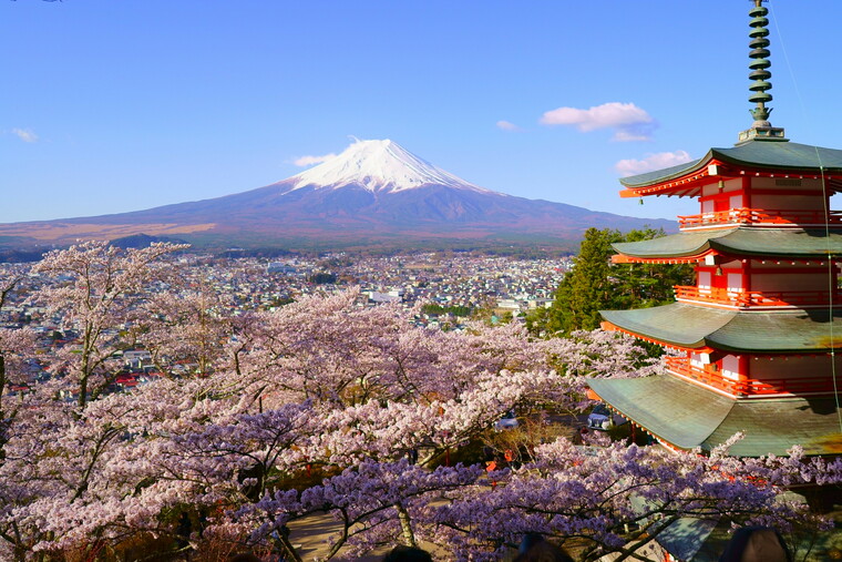 Mt. Fuji