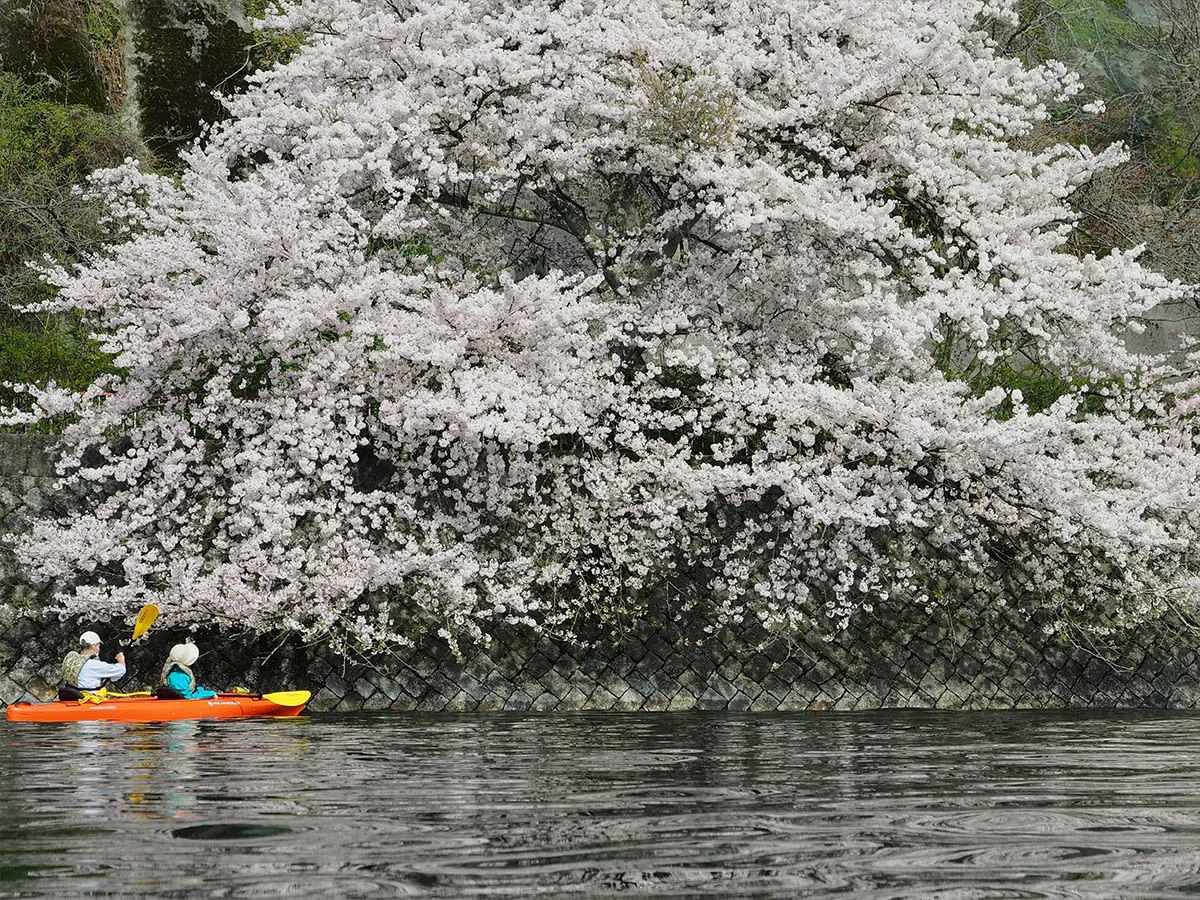 kayak tours japan