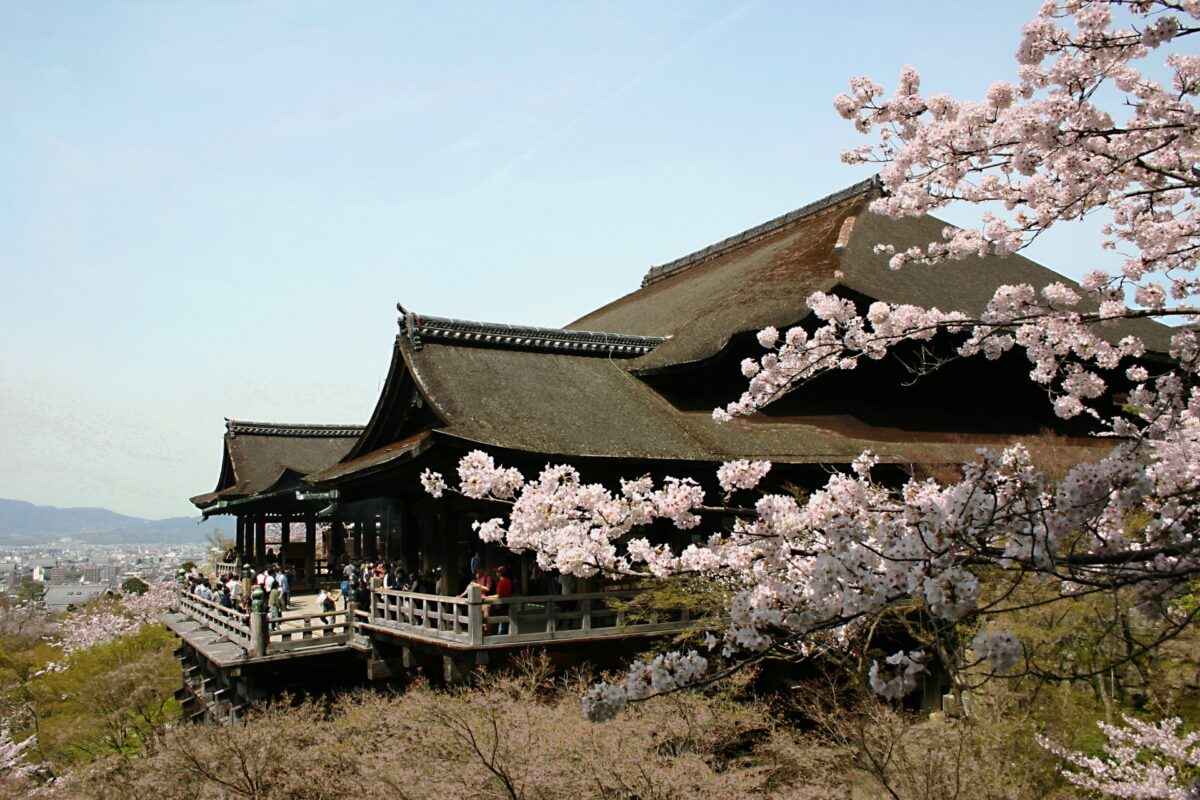 kiyomizu temple sakura