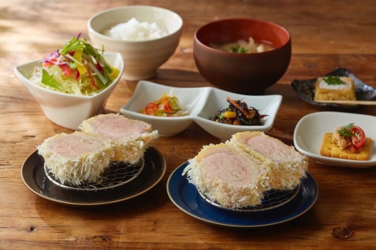 10 Best Tonkatsu Restaurants in Tokyo Japan Wonder Travel Blog