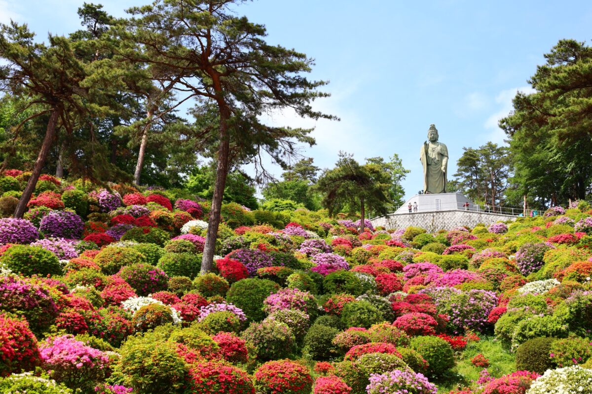 City - 4 flower gardens in bloom year-round - Tokyo Picks