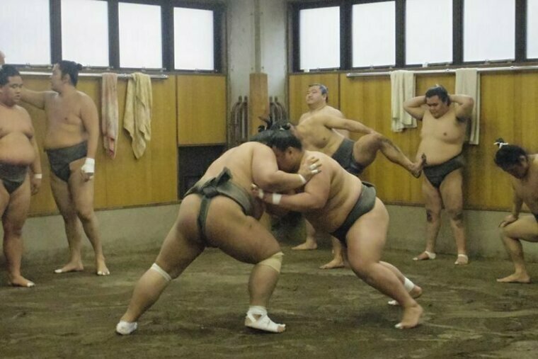 Sumo Wrestling Practice