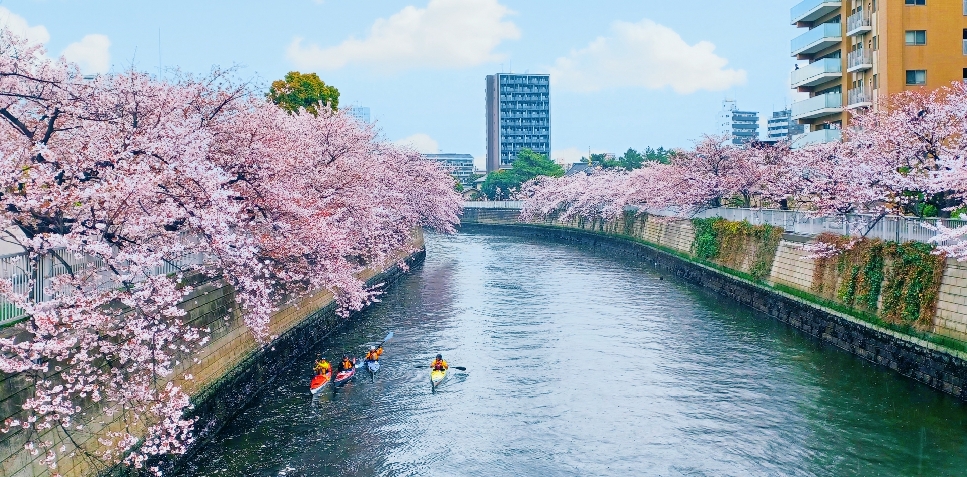 Activities In Tokyo