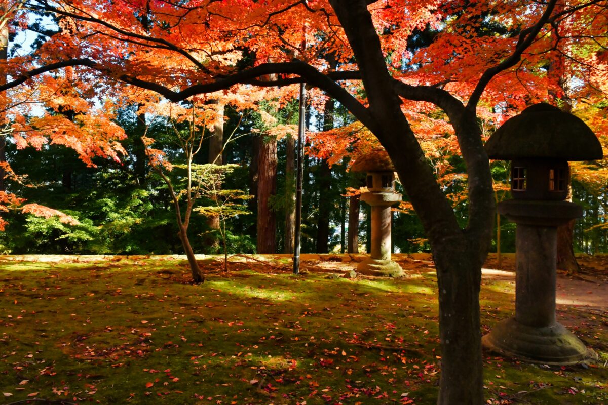 Autumn in Japan