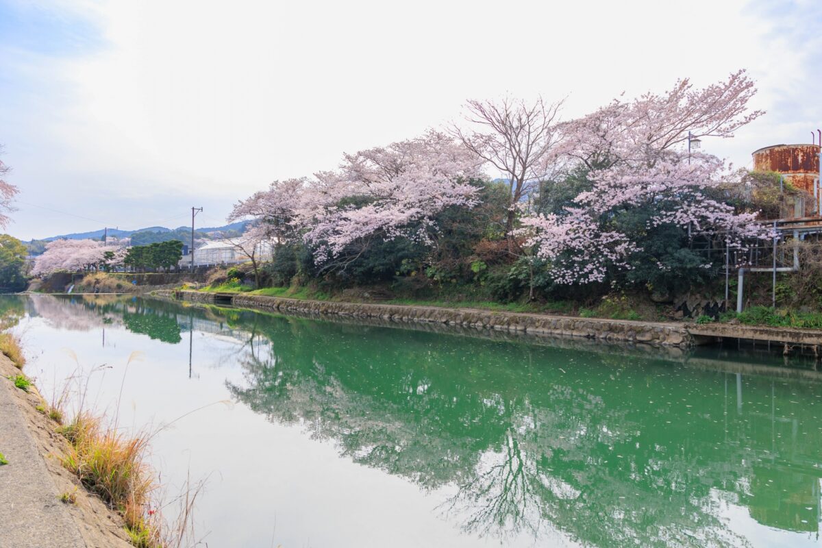 Saga prefecture (Ureshino)