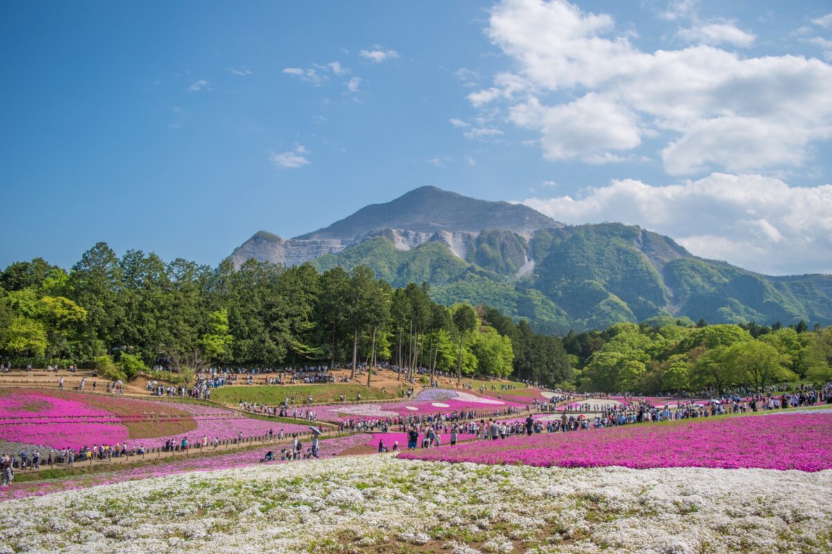 Chichibu nature