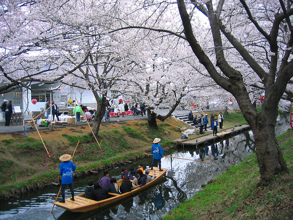 Shingashi river