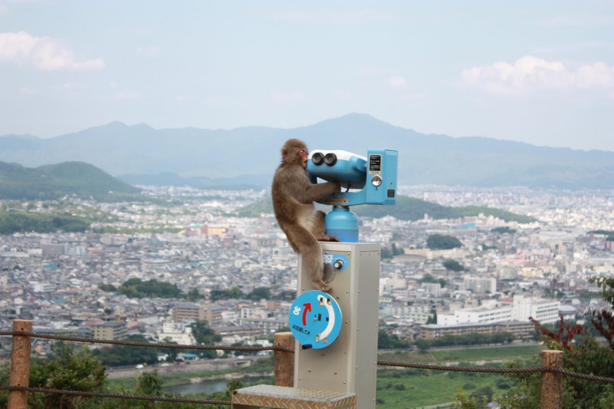 kyoto famous tourist spot