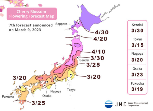 Cherry Blossom Season in Japan 2023 [Sakura Forecast] UPDATED | Japan ...