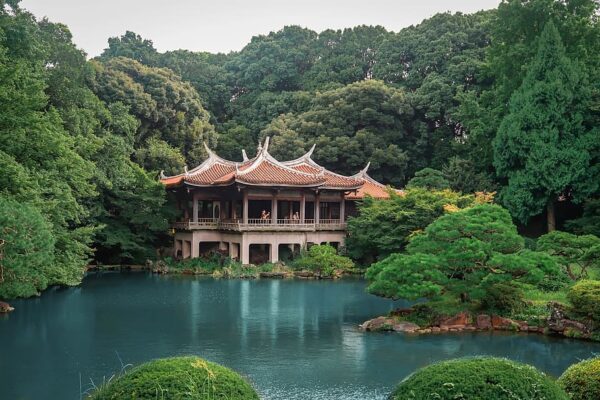 The Ultimate Guide to Shinjuku Gyoen | Japan Wonder Travel Blog