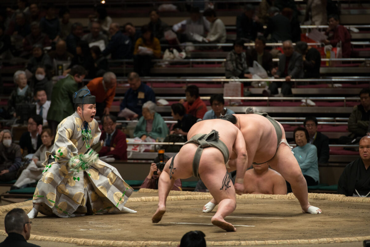 Sumo