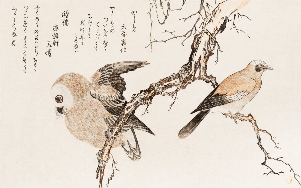 A Guide To Traditional Japanese Art Forms