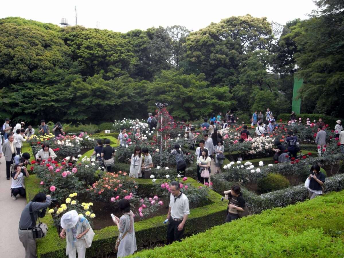 Jardins de Kyu Furukawa