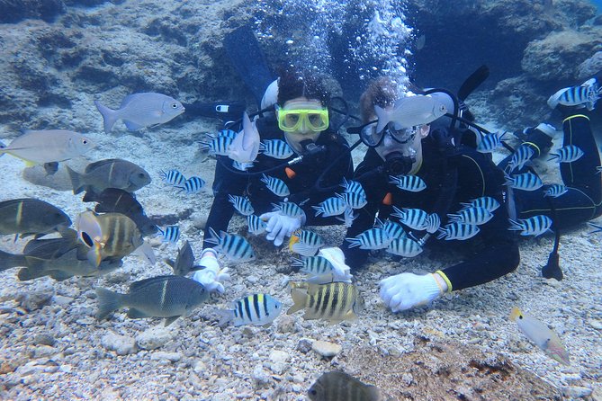 Scuba diving in Okinawa prefecture