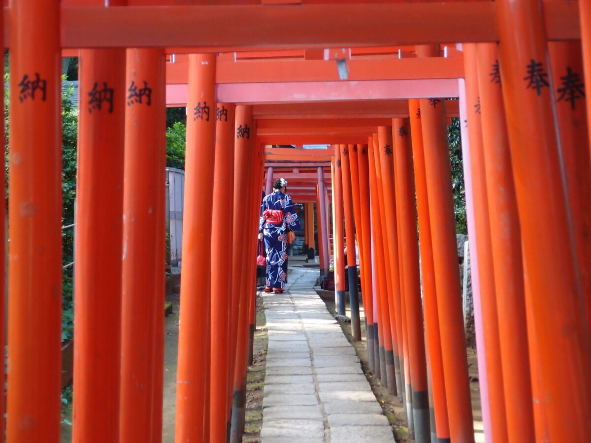 10 Best Things to Do in The Yanaka Area