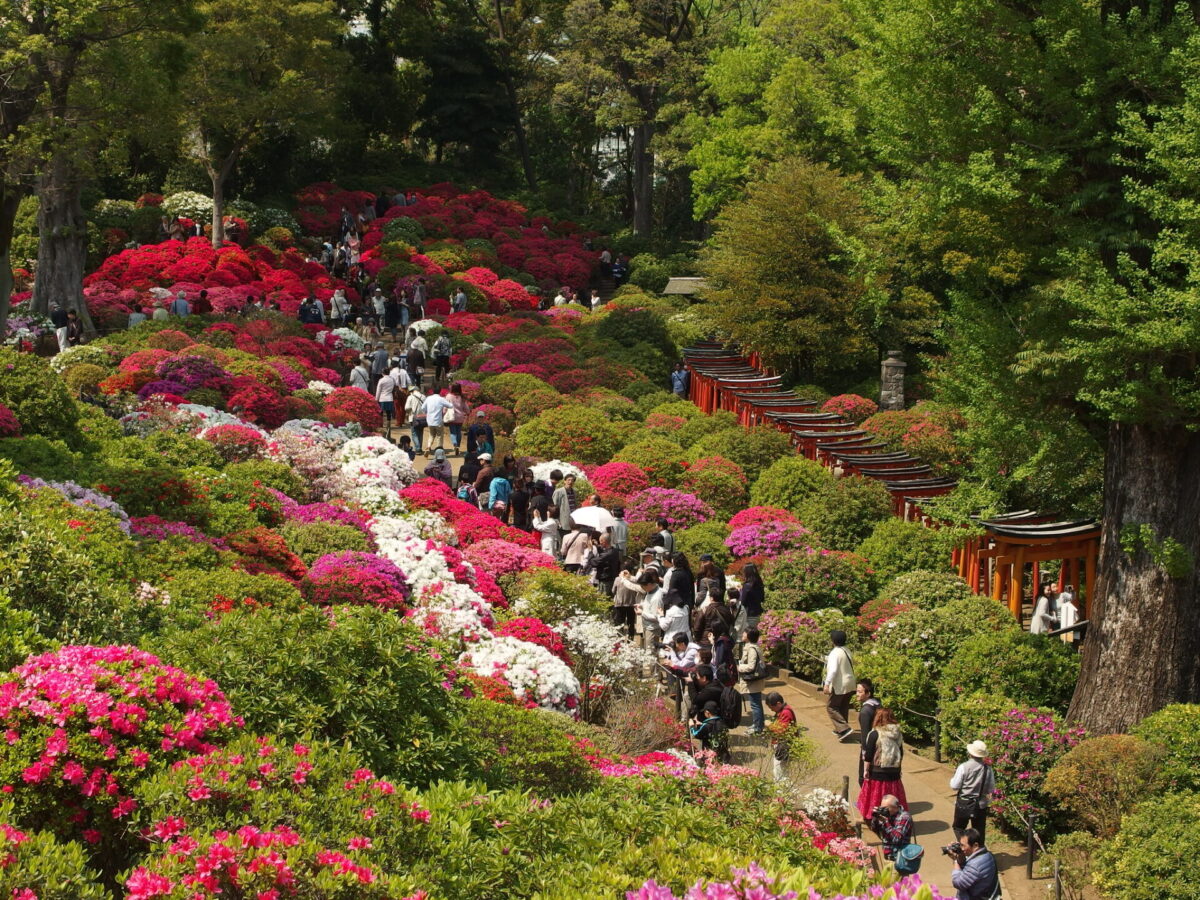 must visit temple in tokyo