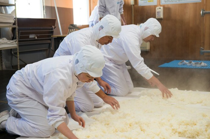 Nada Sake Brewers Preparing Rice