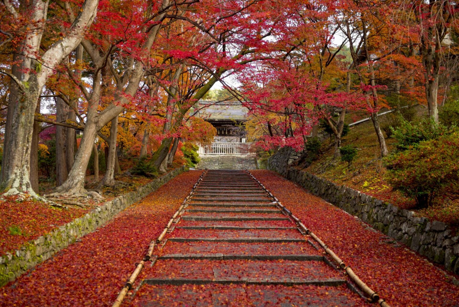 10 Best Things To Do in Kyoto in Autumn | Japan Wonder Travel Blog