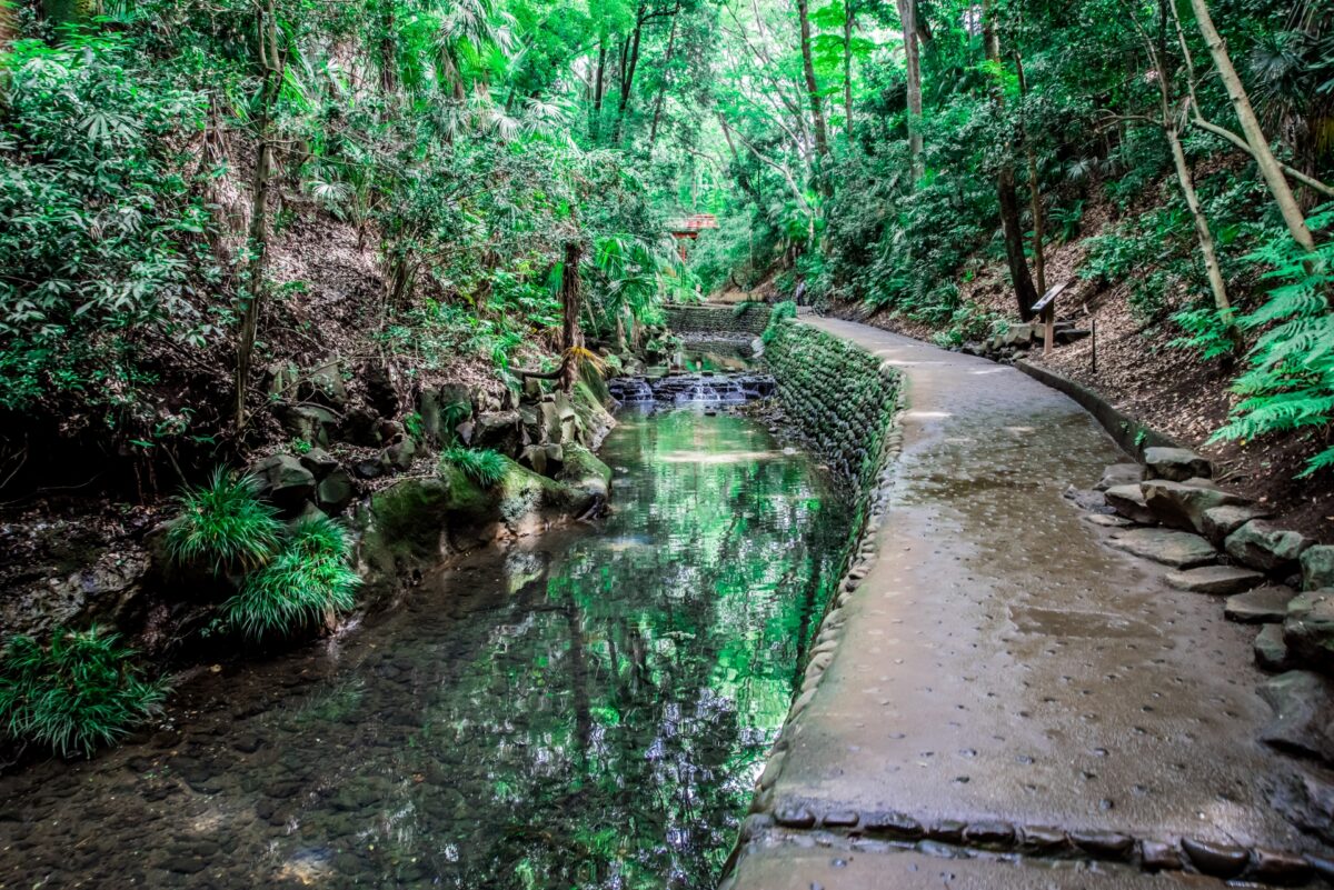 todoroki valley