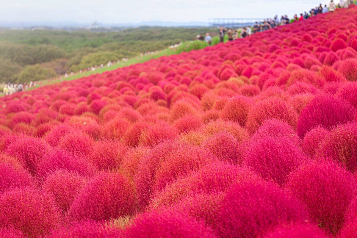 best places to visit japan in october