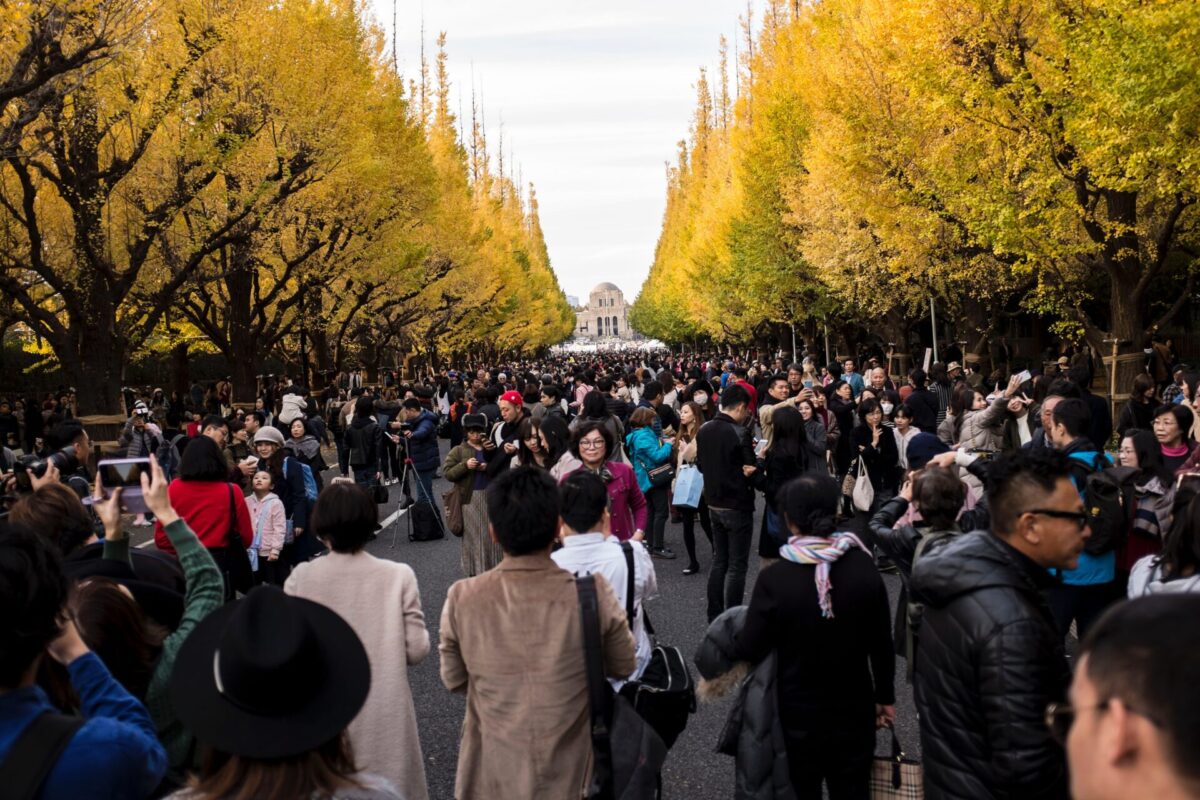 places to visit in tokyo in november