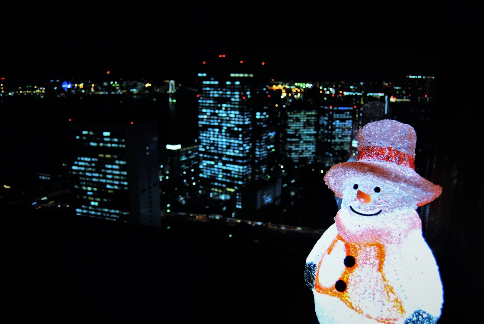 What to do in Tokyo in December (Video #104)