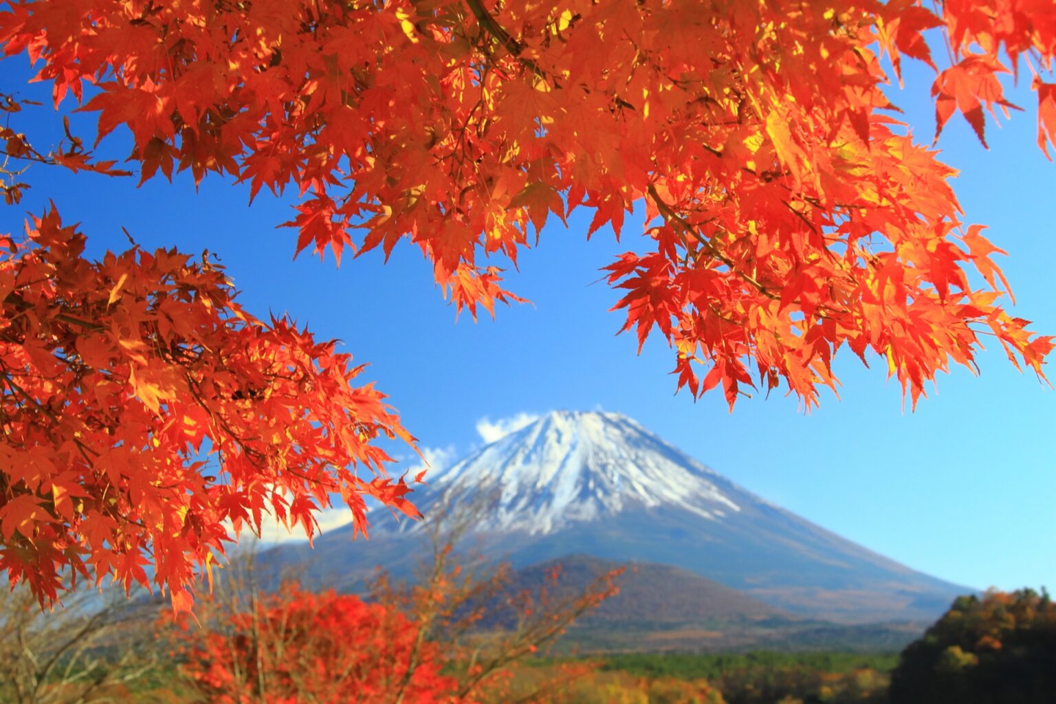 Japan’s Fall Micro-Seasons | Japan Wonder Travel Blog