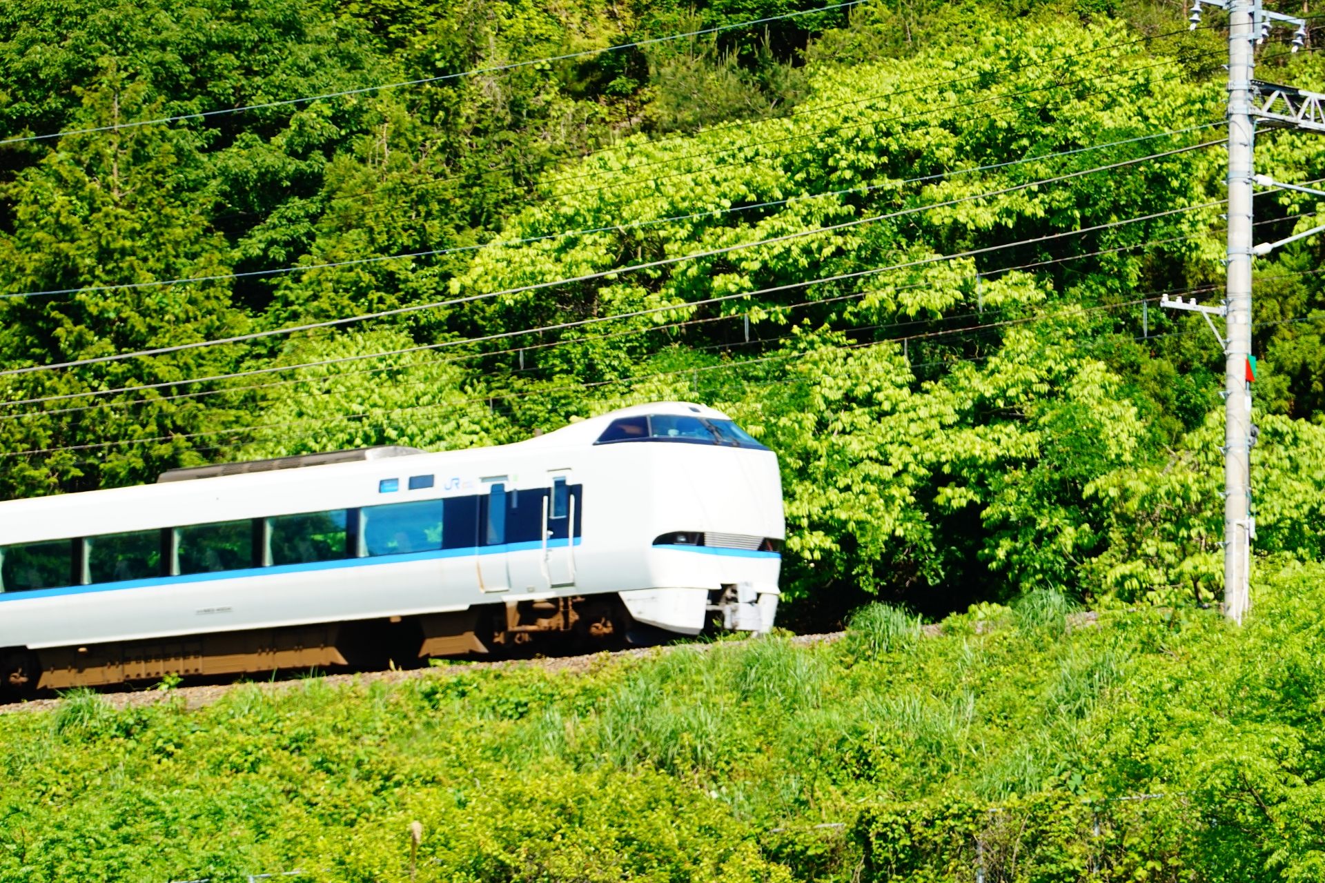 This Limited express thunderbird rides through the landscapes