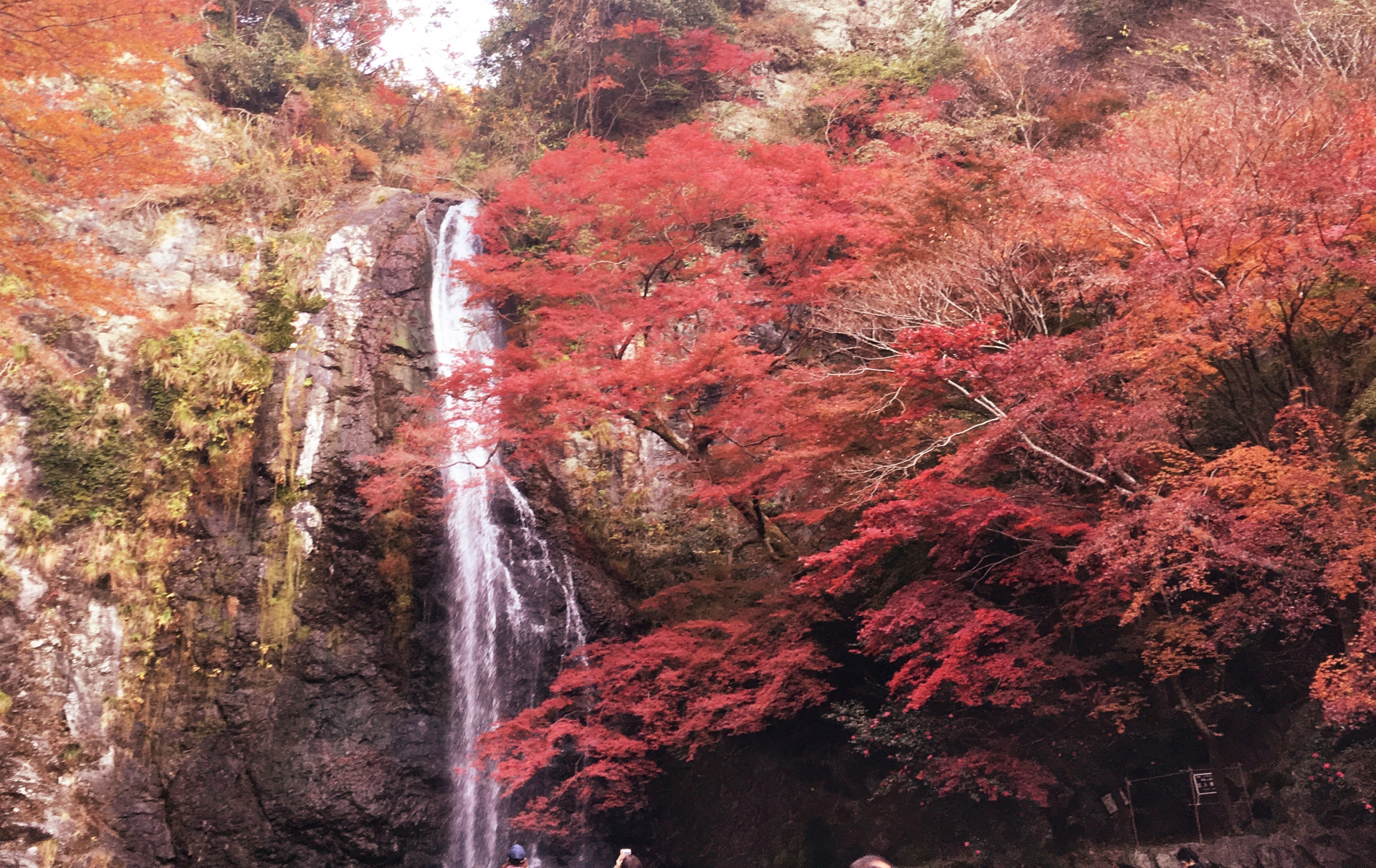 10 Best Events and Things to Do in Japan in November 2024 Japan Wonder Travel Blog