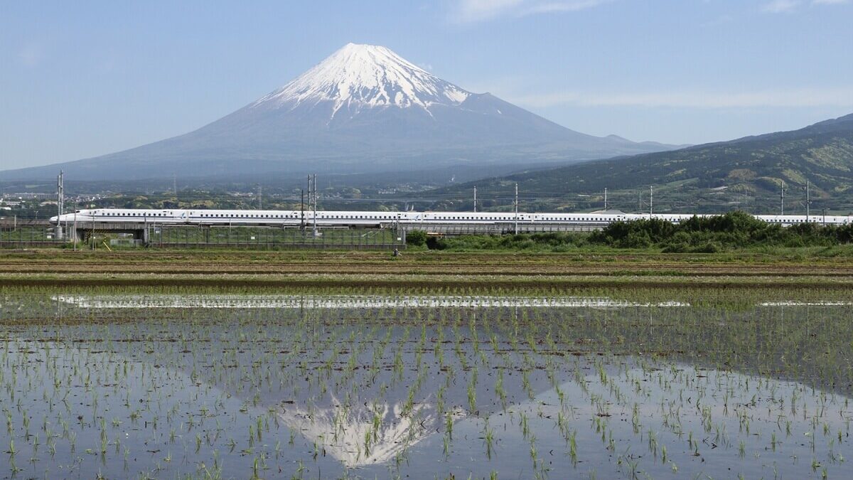 Mount Fuji Shinkansen with rice-fields